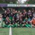 AlfaCup2627-3