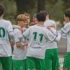 stein - groene ster (58)
