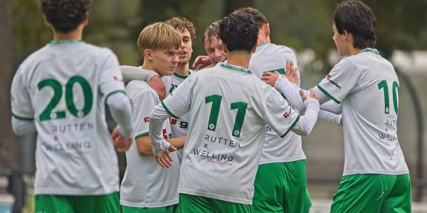 stein - groene ster (58)